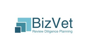 Biz Vet Pic 2 - BizVet provides business advisory services to small business in 3 areas Review and analysis Strategic planning Advocacy valuation and due diligence services when buying a business Advocacy and business ready services when selling your business