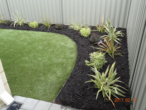 Fionas Fab Garden Care Pic 5 - Now with the addition of plants and mulch