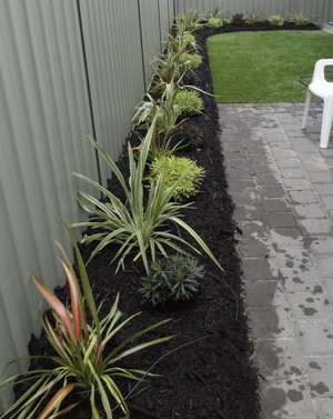 Fionas Fab Garden Care Pic 3 - Low maintenance and colour all year round