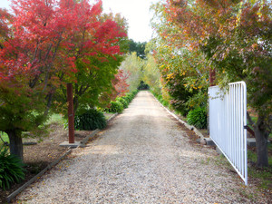 River Farm Lodge Pic 5 - Treelined Entrance