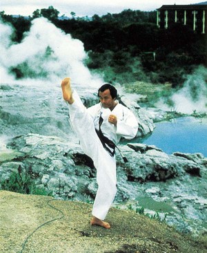 Rhee Taekwon-do Pic 2