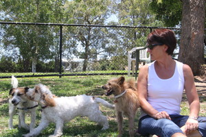 The Brisbane City Dog Walking Company Pic 5 - Puppy playtime and socializing with Mary from Brisbane City Dog Walking