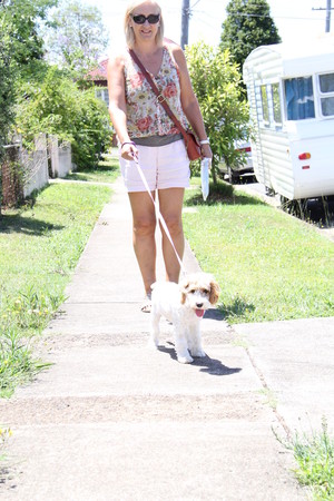 The Brisbane City Dog Walking Company Pic 2 - Walking Delilah with Kay from Brisbane City Dog Walking