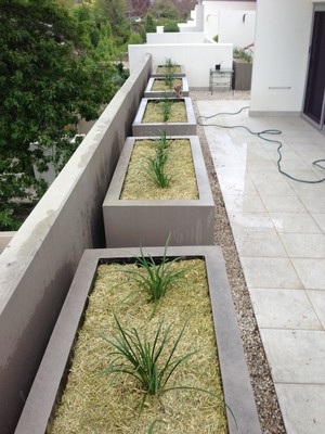 Brian's Home & Garden Care Pic 2 - Balcony Gardens