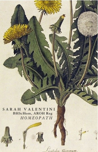 Sarah Valentini - Homeopath Pic 2