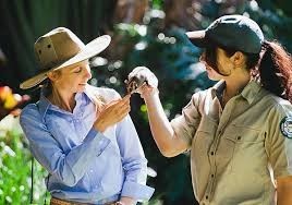 Kayak the Gold Coast Pic 5 - David Fleay Wildlife Park