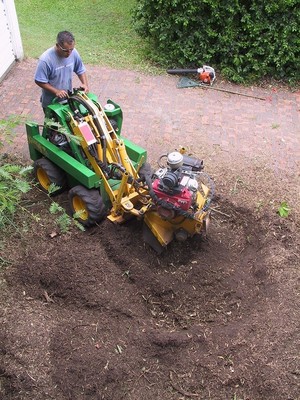 Kiwi Stump Grinding Pic 4