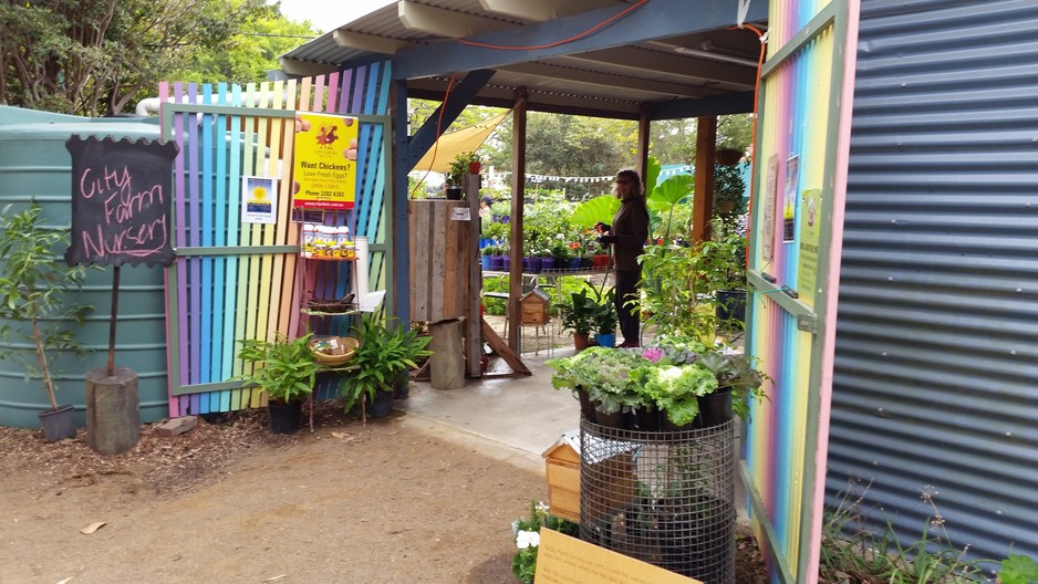 City Farm Nursery Pic 1 - Native bees chook care products