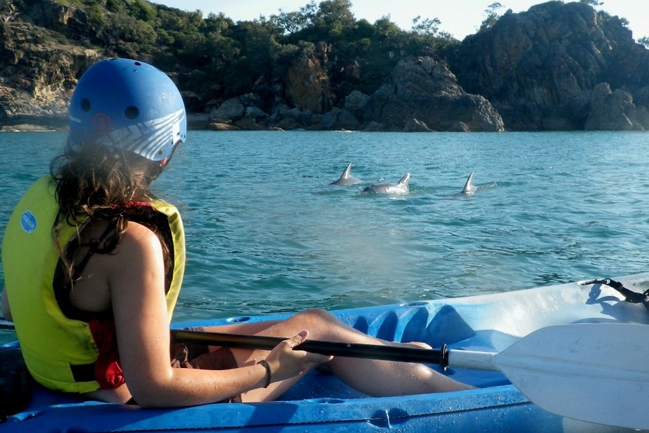 1770 Liquid Adventures Pic 1 - Spot wild dolphins