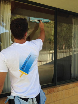 Max's Window Cleaning Pic 2