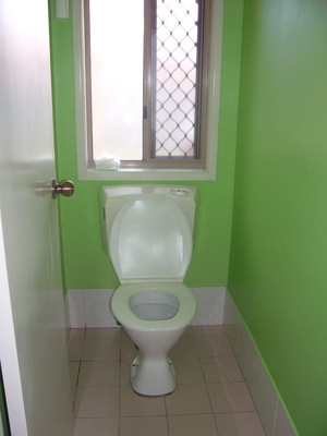 Ronnie Frank Tomic Pic 5 - Toilet Before