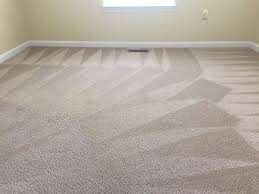 Carpet Cleaning Marrickville Pic 4