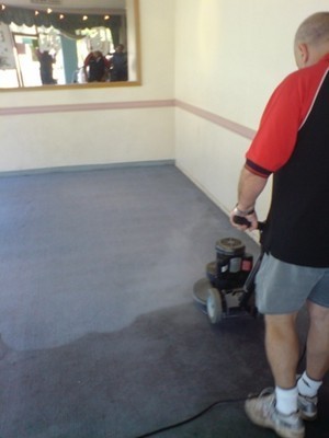 Drymaster Carpet Cleaning - Sydney Pic 2 - Carpet Cleaning