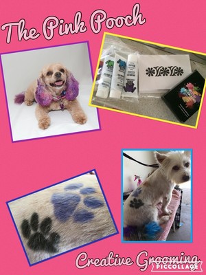 The Pink Pooch Dog Grooming Pic 2 - Fur dying