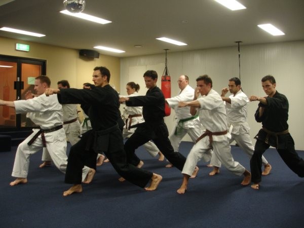 Brisbane Goju Karate Pic 1 - Karate students training