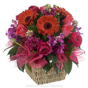 Maleny Montville Florist Pic 2 - Classic pretty fresh flowers Gerberas and Roses