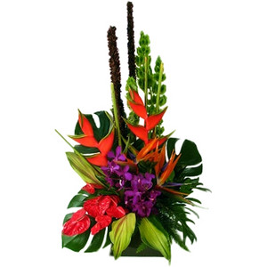 Maleny Montville Florist Pic 4 - Tropical flower arrangements can be bold and long lasting A perfect Corporate flower arrangement