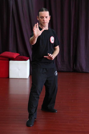 Tai Chi Neigong Pic 3 - San Ti Shi