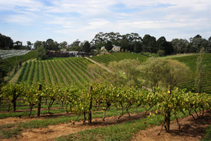 Kellybrook Winery & Restaurant Pic 4