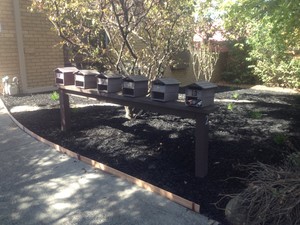 Mckenzie's Garden Maintenance Pic 2