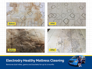 Electrodry Carpet Dry Cleaning Pic 5