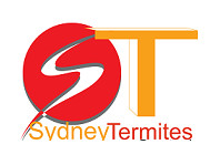 Sydney Termite Pic 1