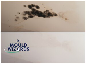 Mould Wizards Pic 4