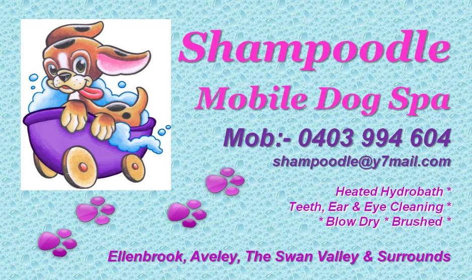 Shampoodle Mobile Dog Spa Pic 1 - Shampoodle Mobile Dog Spa