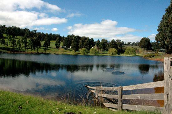 Glenlynn Cottages Pic 1 - looking across our lake