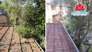 Leafsmart Gutter Guard Pic 4 - Before and After