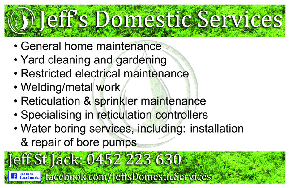 Jeff's Domestic Services Pic 1