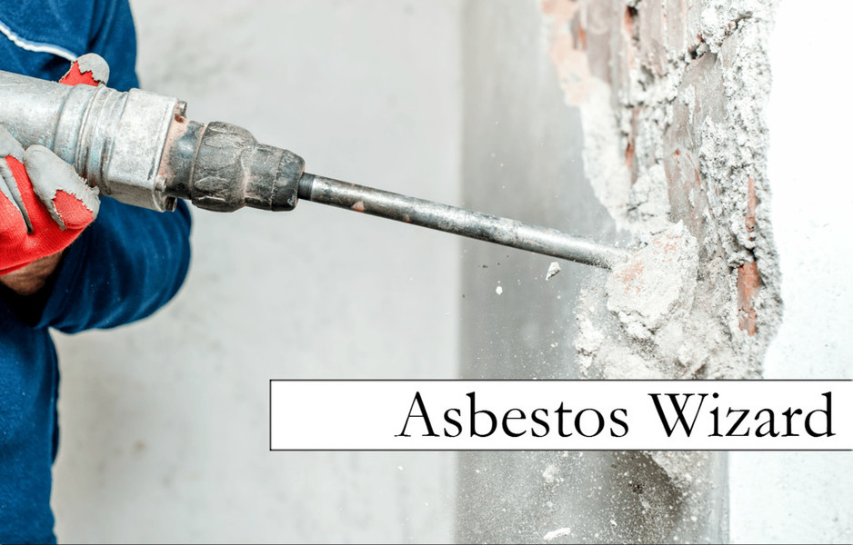 Asbestos Wizard Pic 1