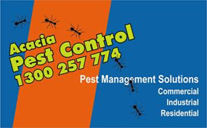 Acacia Pest Control Pic 1