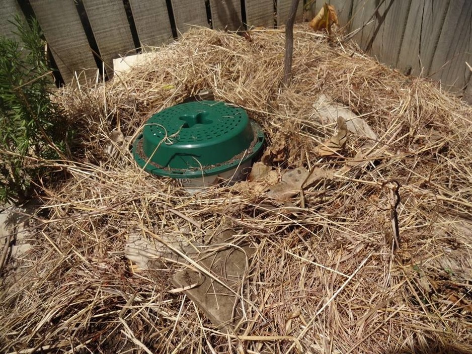 Plant Visionz (AU) Pic 1 - Direct composting into the ground