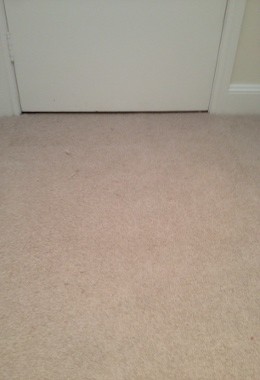 Brisbane Carpet Repairers Pic 2