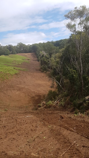 Merediths Earthmoving Pic 2 - Fence line clearing