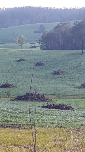 Merediths Earthmoving Pic 3 - Stick raking