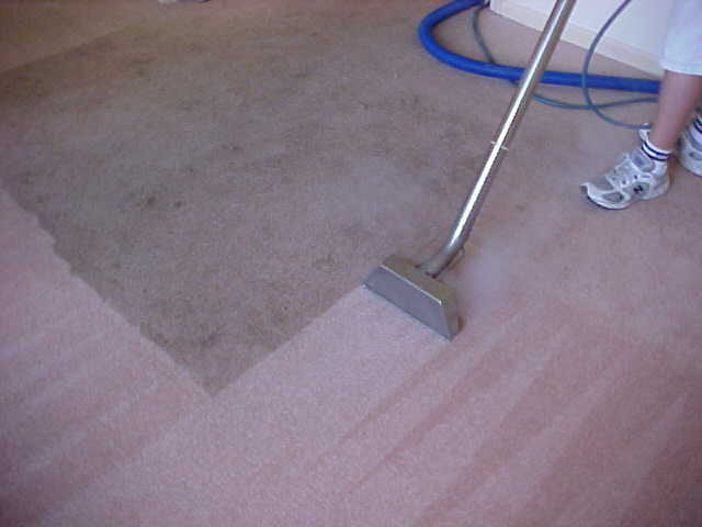 Xtreme sydney cleaning Pic 1 - carpet steam cleaning