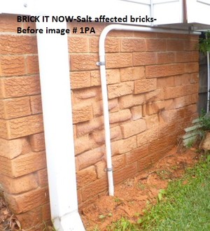 BRICK IT NOW Pic 3 - Before photo salt affected bricks