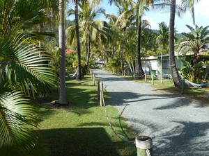 Bush Village Budget Cabins Pic 2 - Driveway