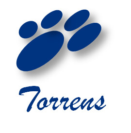 Torrens Career and Business Development Pic 4 - Torrens Career and Business Development Torrens Logo