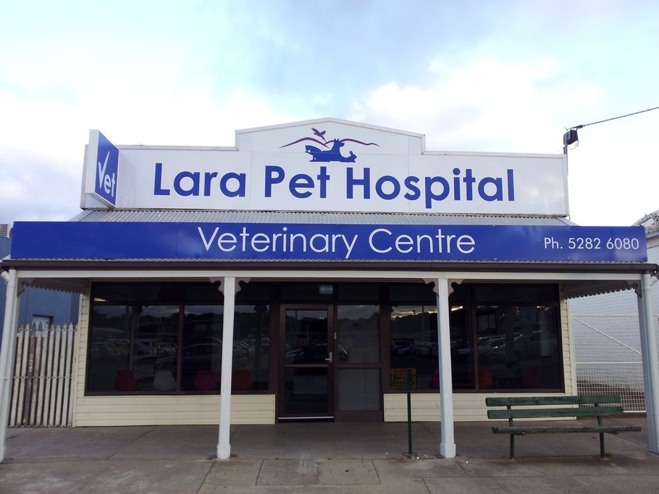 Lara Pet Hospital & Veterinary Centre Pic 1