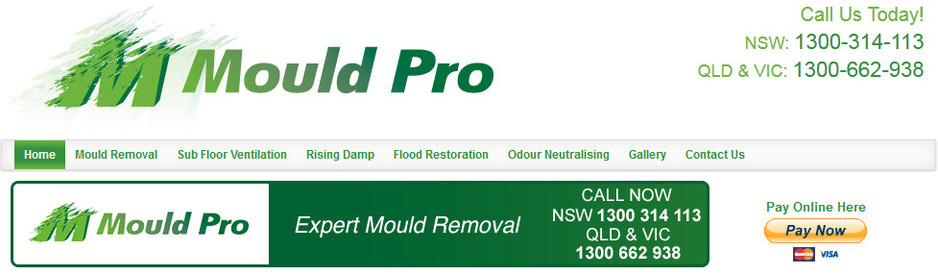 Flood Restoration Pic 1 - Mould Pro contact