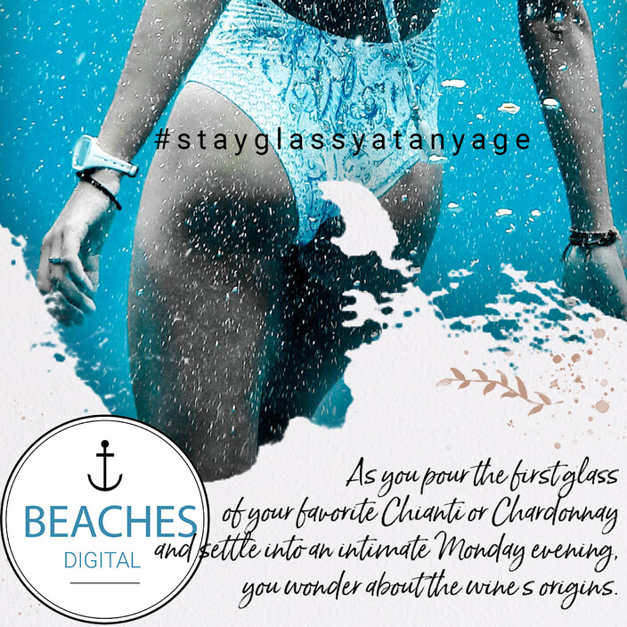 Beaches Digital Pic 1 - Make a splash with beaches digital your local website company and social media strategy management