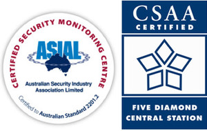 Calamity Monitoring Pic 3 - AS22012 Graded A1 and Five Diamond Certified