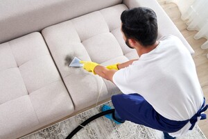 Sofa Cleaning Sydney Pic 5