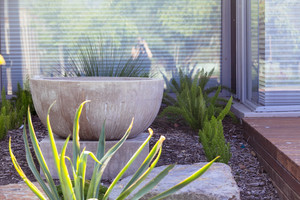 Kathleen Murphy Landscape Design Pic 2