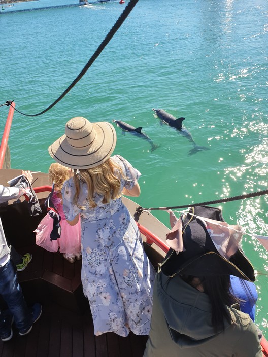 Pirate Ship Mandurah Pic 1 - Passengers viewing the dolphins