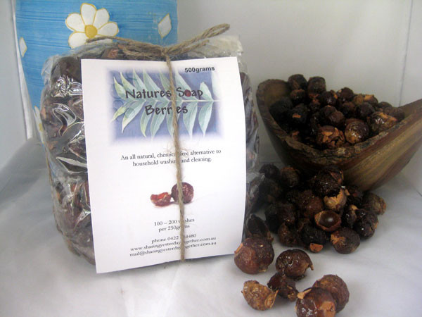 Natures Soap Berries (soapnuts) Pic 1 - 500gm Bag