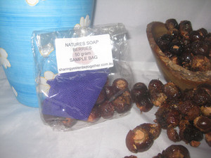 Natures Soap Berries (soapnuts) Pic 3 - 50gm Sample Bag